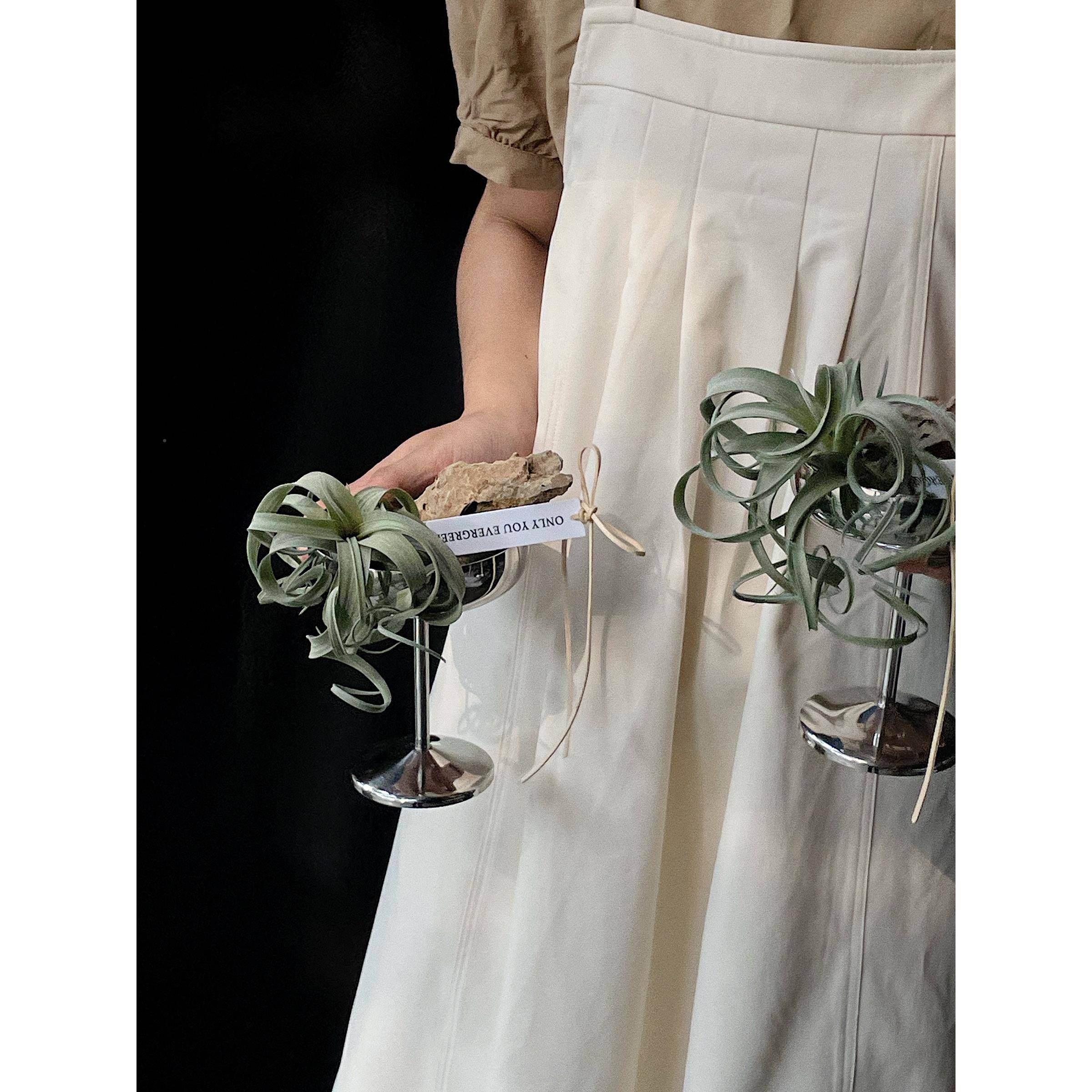 植私物活生 空凤梨小卷物公懒高级感办桌餐桌人无品牌/人气送礼众