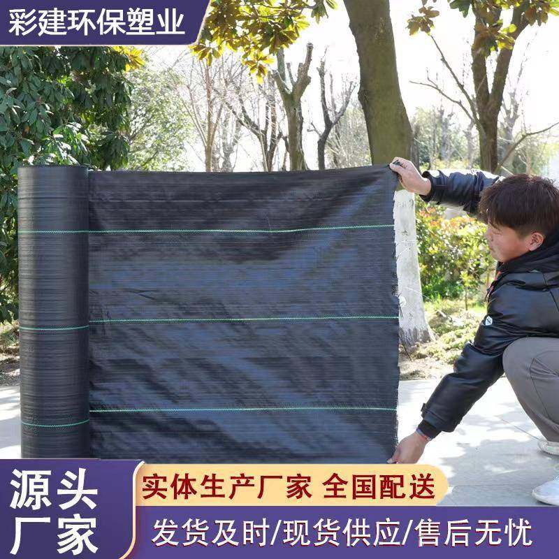 I农用防草布除草布耐用加厚抗老化果树遮盖草布透气保湿可浇灌地,五金/工具,其他剪,淘宝优惠券,粉丝福利购,淘宝优惠卷