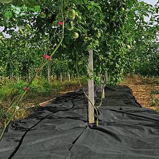 直销果园黑地膜农用透气新型防草布保肥保温防杂草除草膜