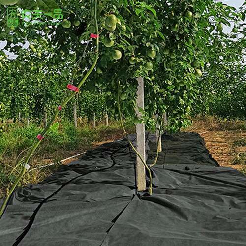 直销果园黑地膜农用透气新型防草布保肥保温防杂草除草膜