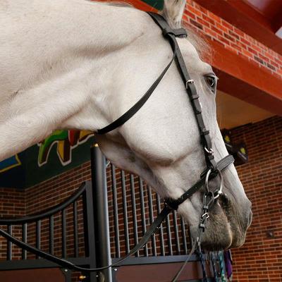 缰绳缰缰水勒用品马术820800勒缰勒勒用水水水马马英式