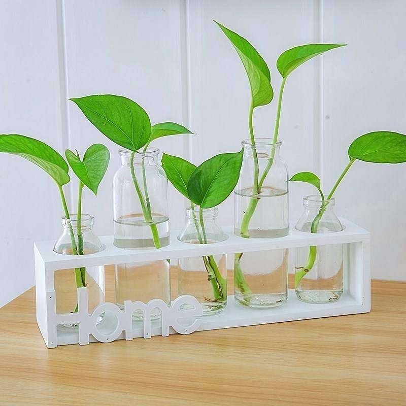 酒柜家用摆件桌面九里香小花瓶创意水培饰品吸收甲醛艺术简约花束,个性定制/设计服务/DIY,明信片定制,淘宝优惠券,粉丝福利购,淘宝优惠卷