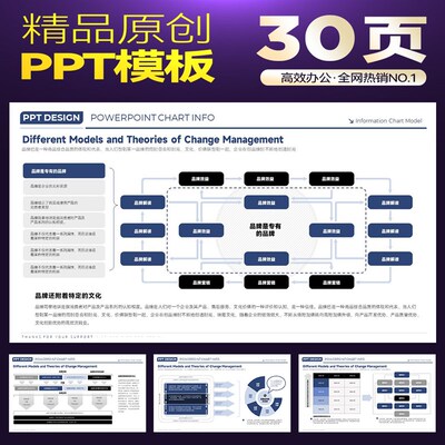 BCG波士顿咨询风格数字化信息流方法论图表思维模型模式PPT模板