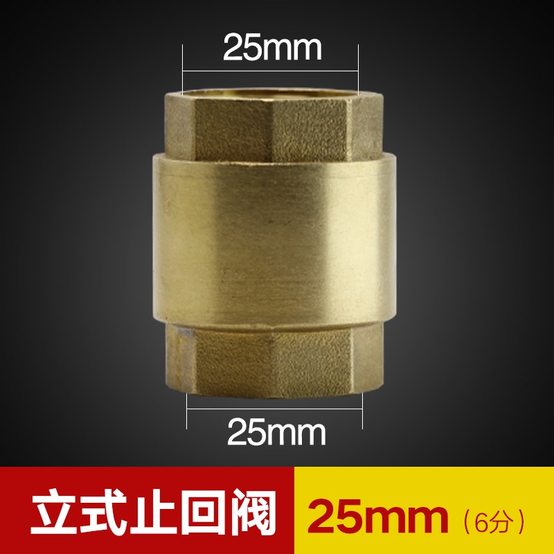 4分止回阀铜单向进水阀6分1寸太阳能热水器水表立式止回阀