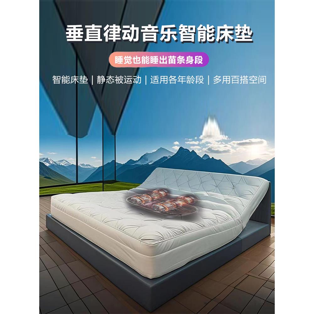 垂直律动音乐按摩智能床垫健身疗养老家居床零压防鼾全自动多功能