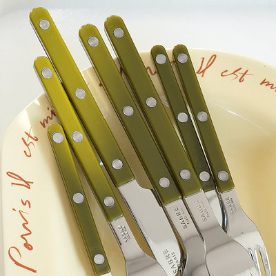 法国正品 Paris蕨绿色亮面西餐具套装刀叉勺子4件套ins复古