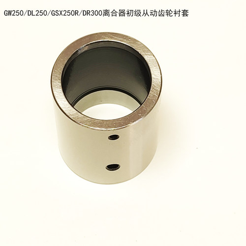 GWDLGSX250离合器从动齿轮衬套