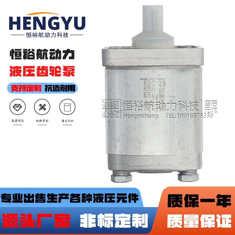 凯斯帕CASAPPA齿轮泵PLP10.5SD液压泵PLP20.4D0泵PLP30油泵高压