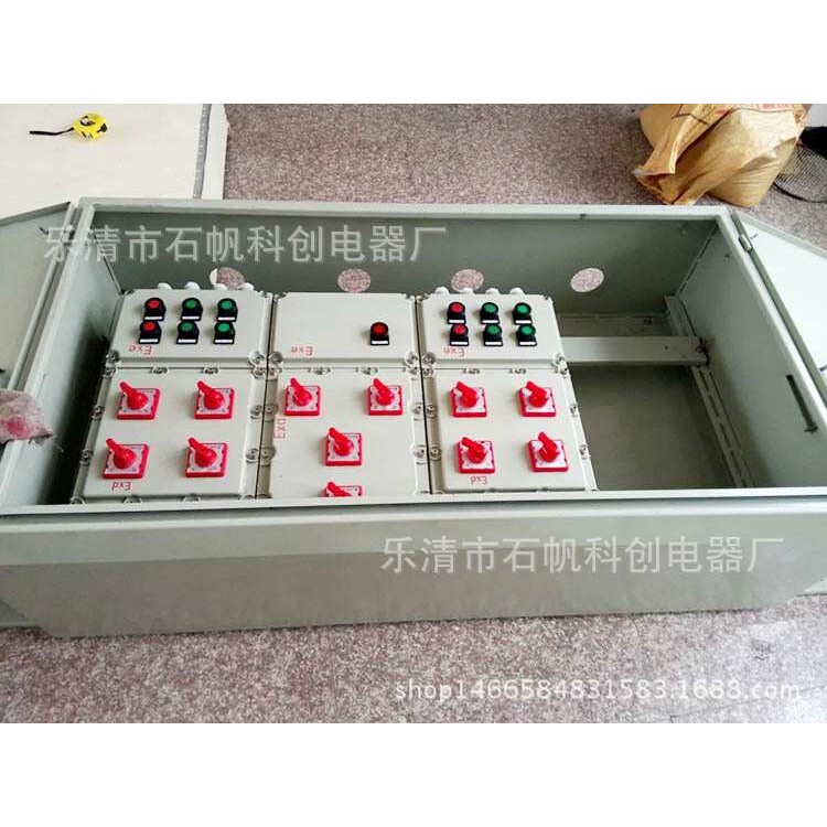 带护罩防爆箱 防爆灌装机控制箱 防爆电位箱 等位箱BF28159-SZF