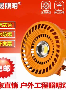 led防爆灯隧道灯泛光灯100W200W加油站煤矿隔爆灯车间厂房仓库灯