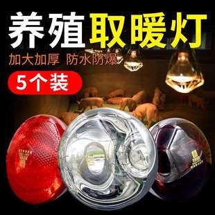 保温灯灯泡小猪用育雏养殖场猪舍加热猪圈取暖灯猪场保暖烤灯