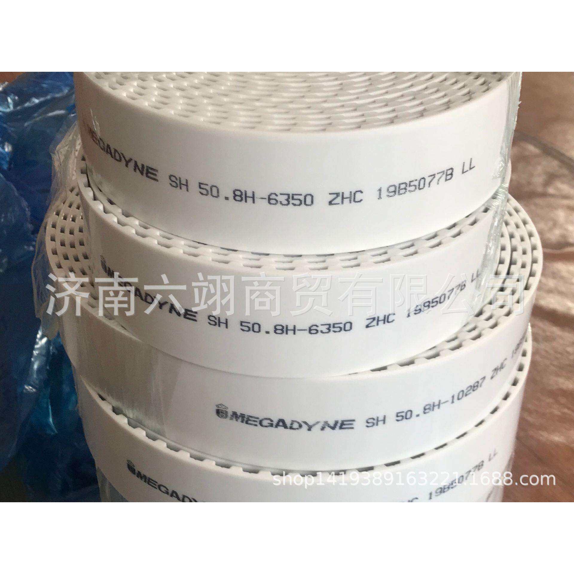 意大利麦高迪MEGADYNE钢丝开口带 25.4H-3800 玻璃机械设备配套