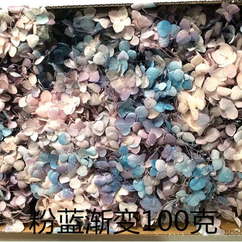 保鲜小叶安娜绣球永生花 情人节圣诞节生日礼物礼盒配材花材100g