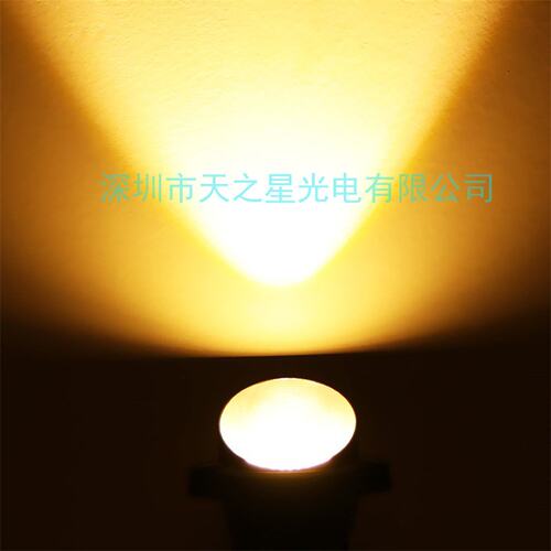 跨境美式户外庭院景观聚光灯COB草坪灯5w7w10w12w风景插地灯