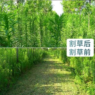 遥控割草机履带式 农用四驱小型轮式 四轮除草机草坪果园打草碎草机