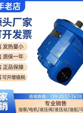 新款天津泊姆克齿轮泵Pl124A085TXZA10-54铁福来油泵P124A085A包