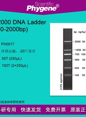 PH0017 DL2000 DNA Ladder (100-2000bp) O100T DNA Marker