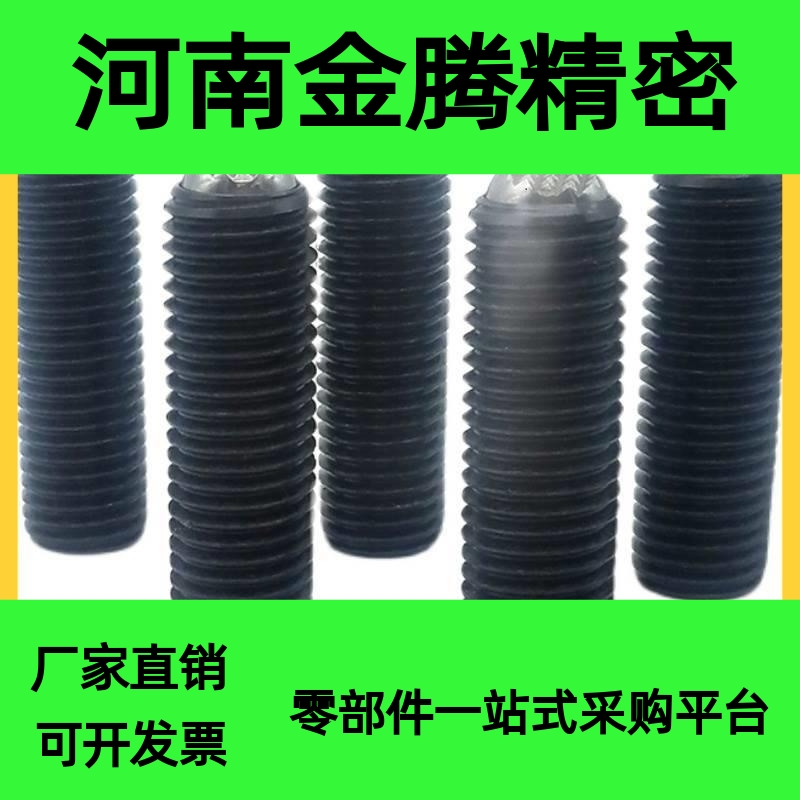 FSMG12 16 20 动向钢珠螺杆 PT16C齿面型锁紧螺丝无弹簧