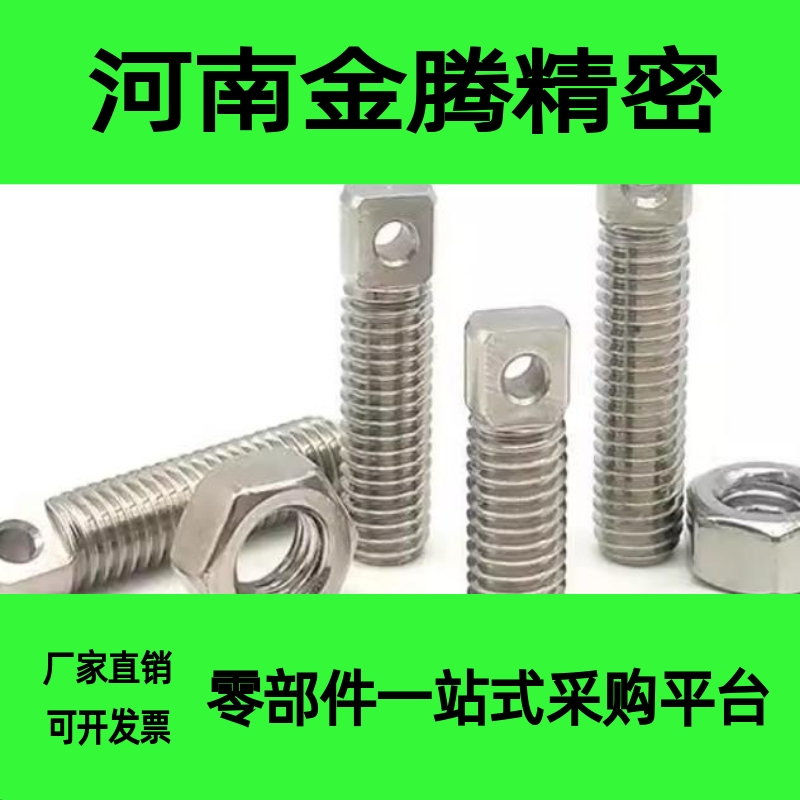 FFE11-D3/D4/D5/D6-L15/L20/L25拉伸弹簧支柱 带扁方全牙型SAIPOZ