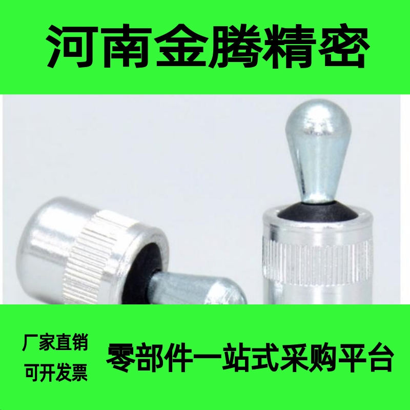 柱塞 ZAV51 52 53 61 62 63-D3 D5 D6 D8 D10 特别用途侧向定位销