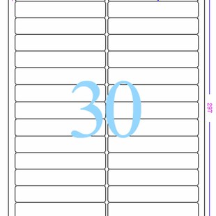 标签c纸 CL630WP 爱雷博 白色防水PET塑料 100张A4 不干胶