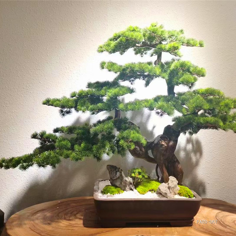 仿真松树盆景中i式园林仿生绿植人造罗汉松美人松松针树摆放装饰