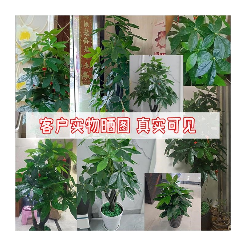 发财树彷真绿植彷生o彷真盆栽客厅室内花假树摆设造景大型塑料盆