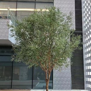 仿真橄榄树仿真大型n植物仿真树室外假树造景仿真绿植榕树橱窗造