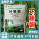 强力环嗪酮除竹子杂草专用药环嗪哃颗粒剂园林开荒除草专用杀草剂