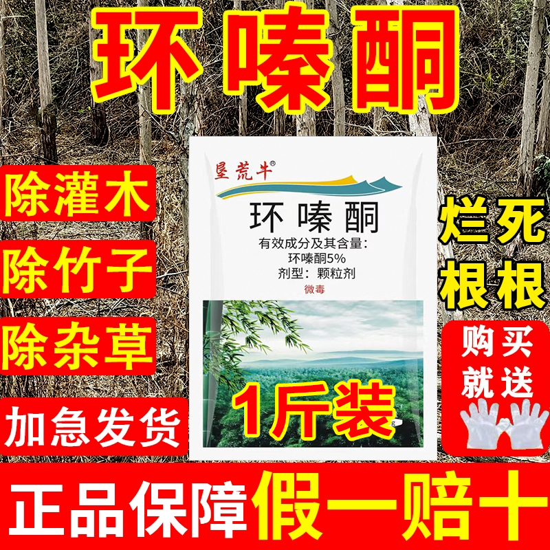 环嗪酮铜哃除竹子灌木树杂草烂根专用药除草剂除草烂根剂正品