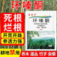 环嗪哃竹子烂根专用药灌木强力枯死药环嗪酮铜除大小竹子烂根粉剂