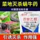 蜗牛药6%四聚乙醛颗粒菜地杀蜗牛鼻涕虫专用药杀虫剂农药蜗牛克星