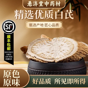 正宗白芪中药材500g野生青羊参青阳参白芪片六月凌代客磨粉白芪粉