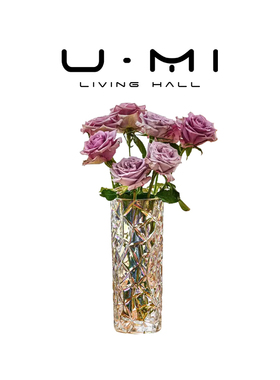 U Mi LIVING·金瑾|花瓶家用加厚透明玻璃鲜花水养装饰摆件高级感