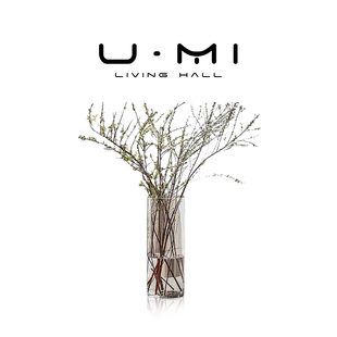 花瓶玻璃客厅摆件插花器透明马醉木花器器皿 LIVING·雪柳