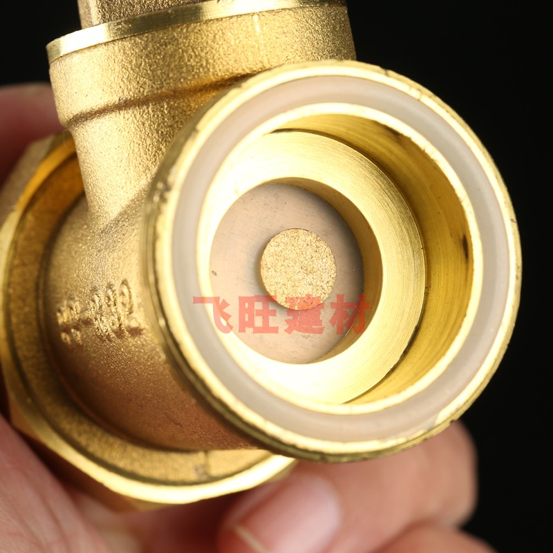 20 25 32 40 50 63PPR止回阀4分6分1寸卧式黄铜PPR热熔水管单向阀