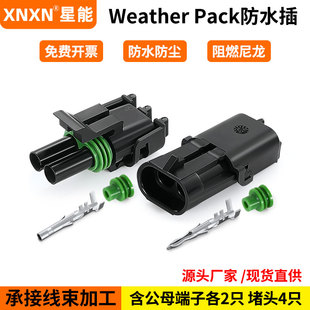 Delphi连接器DJ3021Y-2.5-11/21 两芯防水插头12015792/12010973