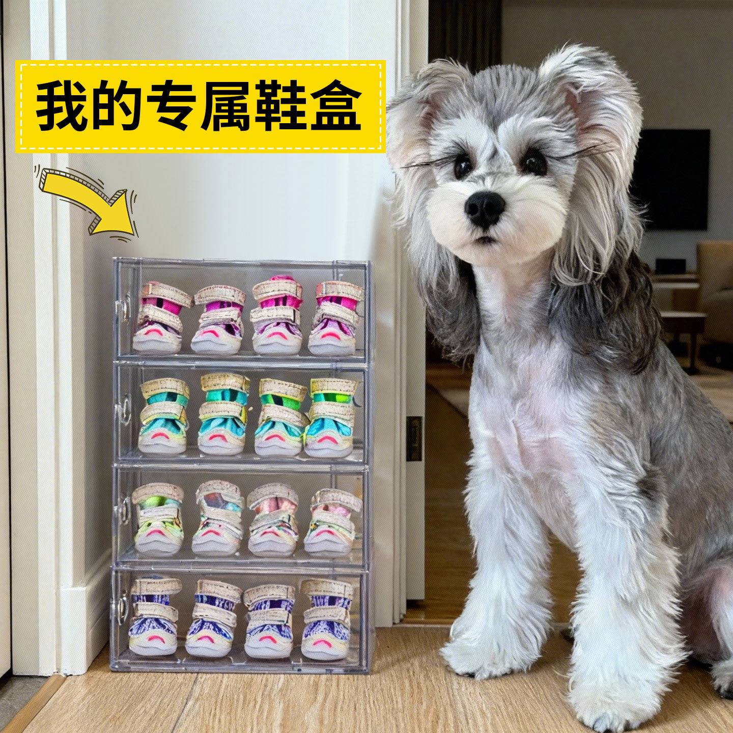 狗狗鞋子收纳盒用品整理