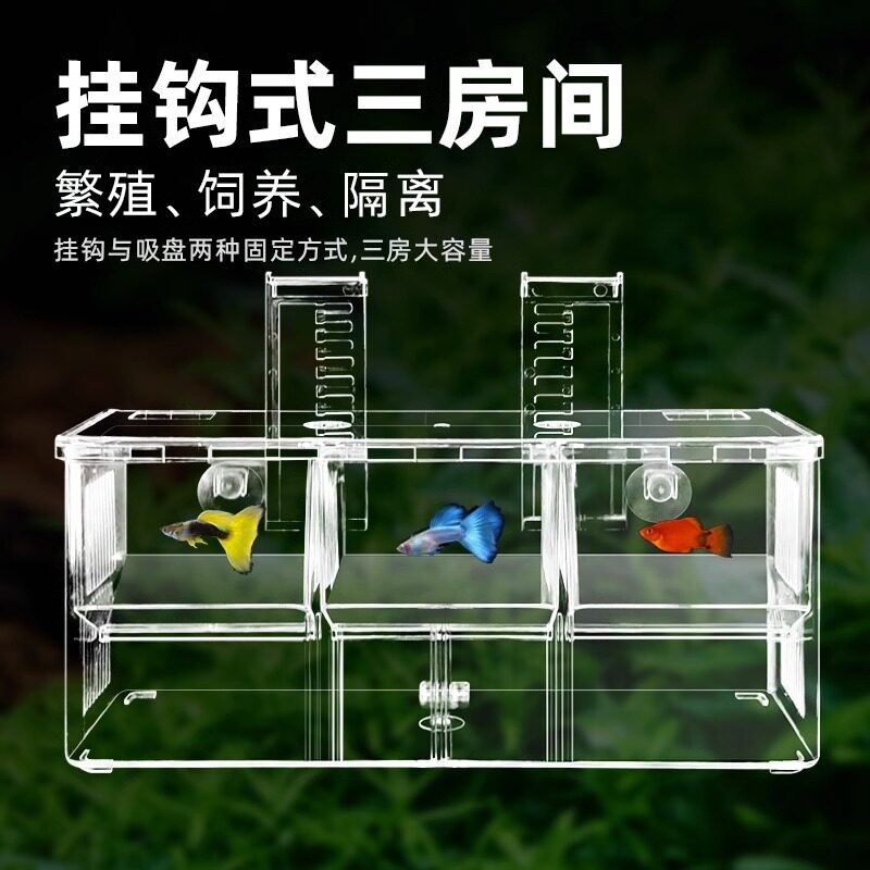 孔雀鱼繁殖盒鱼缸非亚克