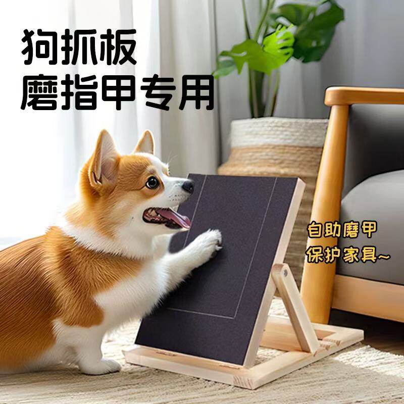 狗抓板磨指甲柯基边境牧