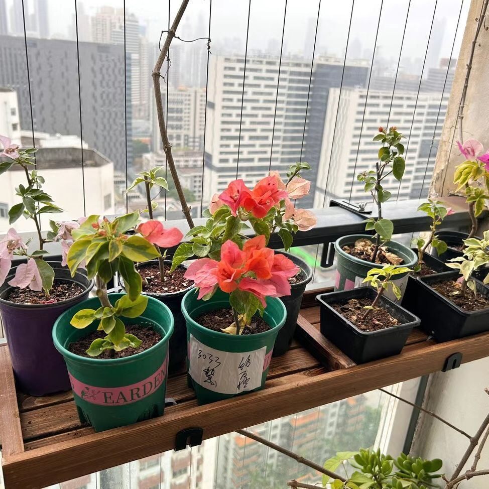阳台花架悬挂护栏子实木
