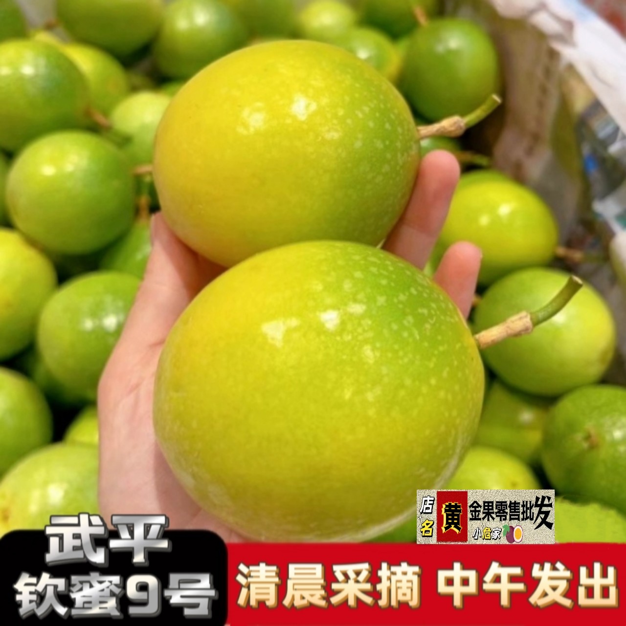 钦蜜9号黄金百香果果园直供采摘武平当季孕妇水果特果礼盒装可选