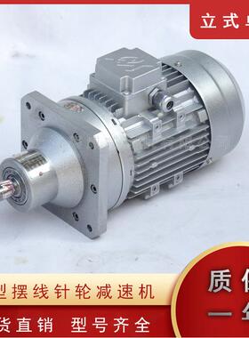WB100-LD-11-180W立式微型摆线针轮减速电机WB65-WD-60W行星减速