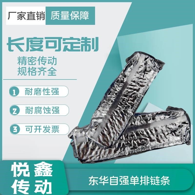 单排东华自强传动链条06B 06C 08A 08B 10A 10B12A12B16A工业链条