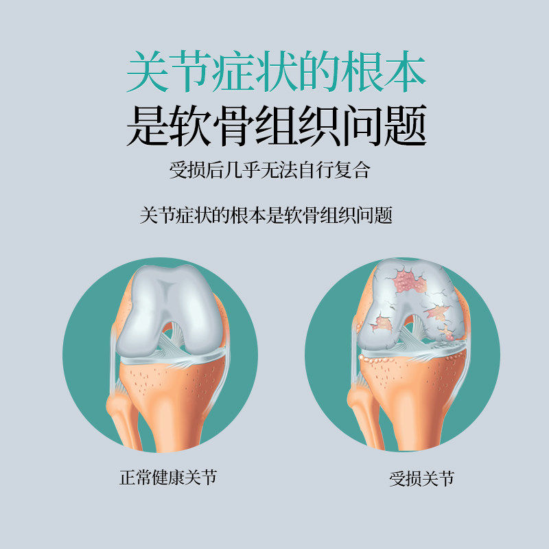 Teenlab关节宝胶囊关节护软骨痛补痛补钙安糖炎官方正品