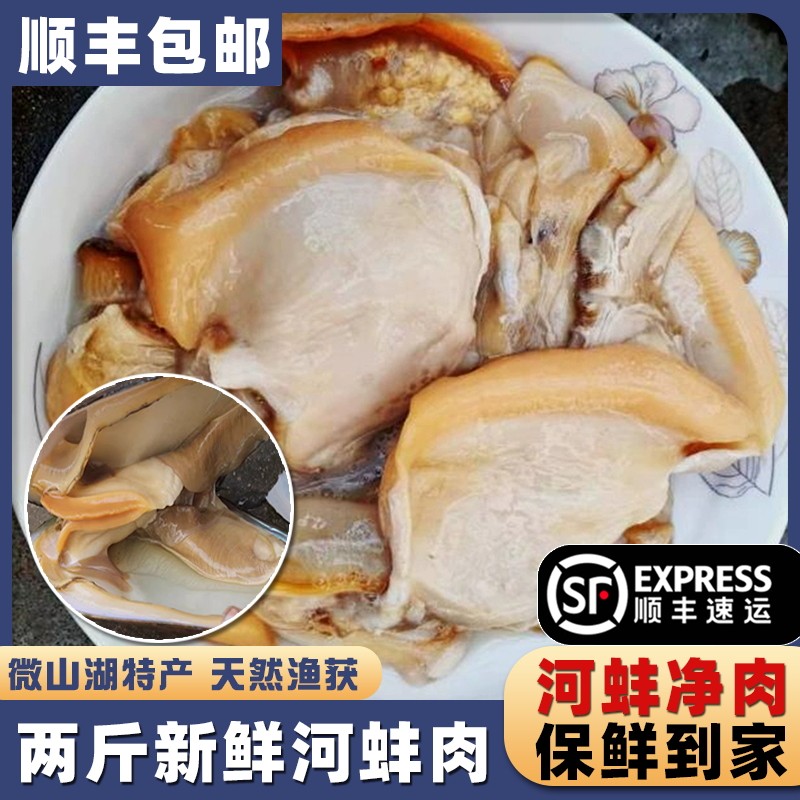 微山湖清水河蚌肉新鲜活取淡水河蚌净肉蚌丝餐厅商用河漂蚌边顺丰