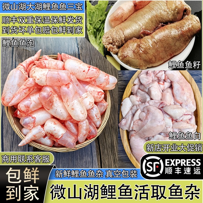新鲜鱼杂鱼泡鲤鱼鱼籽鱼白鱼宝鱼肚鱼子鱼鳔鱼肠内脏商用鱼杂顺丰