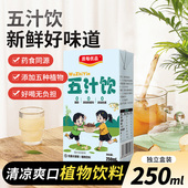 五汁饮马蹄甘蔗荸荠梨金银花儿童植物饮料盒装 莲藕芦根含糖一整箱