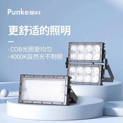 中性光led灯投光灯自然光户外灯防水大灯泛光灯高亮度射灯4000K