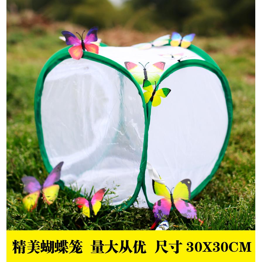 中号蝴蝶笼折叠宠物变色龙昆虫防蚊植物pvc暖房爬虫饲养网箱包邮